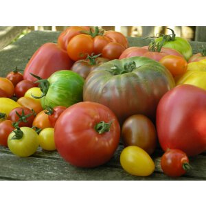 Historische Tomaten