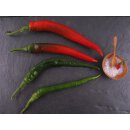 Türkische Peperoni Sumher  *Jungpflanze