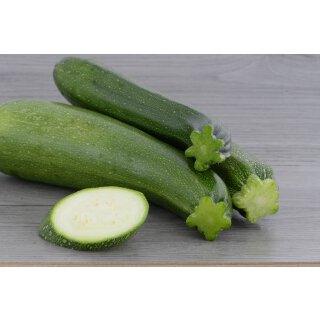 Grüne Zuchini Defender F1 *Jungpflanze