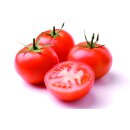 Veredelte Salattomate Previa *Jungpflanze