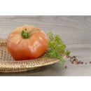 Veredelte Fleischtomate Carmello F1 *Jungpflanze