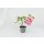 Veredelte Fleischtomate Rosa Crush *Jungpflanze