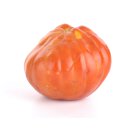 Birnenförmige Fleischtomate Liguria *Jungpflanze