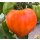 Fleischtomate Ochsenherz Orange *Jungpflanze