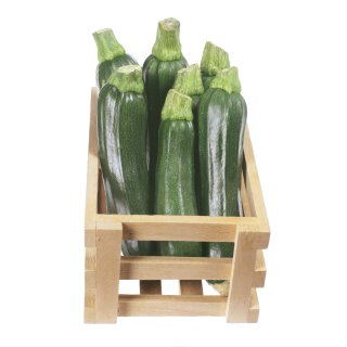 Bio Zucchini grün *Jungpflanze