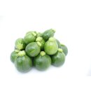 Bio Zucchini Kugel *Jungpflanze