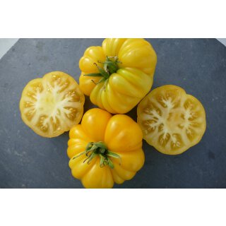 Bio Tomate Costoluto Gelb *Jungpflanze