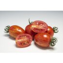 Tomate Monetina *Jungpflanze