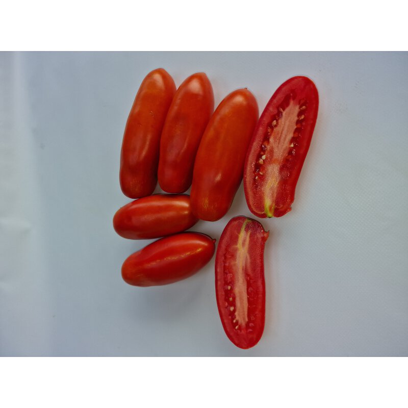Tomate Eduardo *Jungpflanze, 2,99