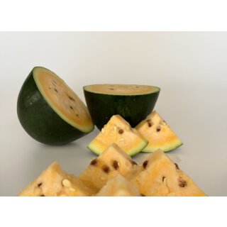 Veredelte Wassermelone Solopoly *Jungpflanze