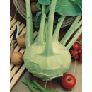 Kohlrabi Superschmelz *Pressballen 6er Pack