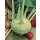 Kohlrabi Superschmelz *Pressballen 6er Pack