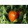 Bio Fleischtomate Ochsenherz rot *Jungpflanze