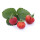 Aroma - Erdbeere Mieze Schindler *Jungpflanze