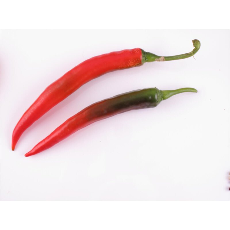 Junus F1 Türkische Peperoni Capsicum annuum Pflanze online kauf