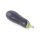 Aubergine Milar *Jungpflanze