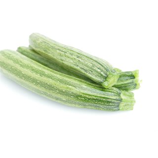 Bio Zucchini Cocozelle von Tripolis *Jungpflanze