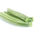 Bio Zucchini Cocozelle von Tripolis *Jungpflanze