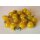 Gelbe Wildtomate Golden Currant *Jungpflanze