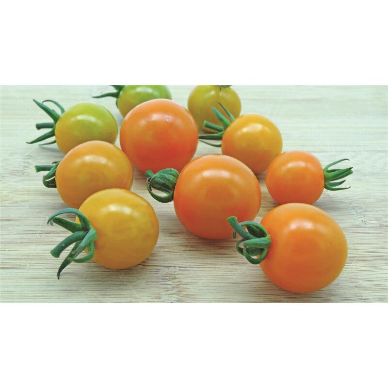 Gelbe Cherrytomate Honeycomb, 2,49